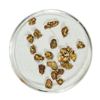 Image 1 : Gold Nuggets 3.21 Grams Total Weight