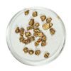 Image 1 : Gold Nuggets 4.15 Grams Total Weight