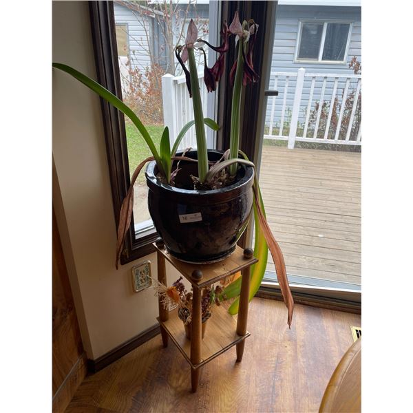 Wood Plant Stand and Assortment of Plants