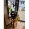 Image 1 : Wood Plant Stand and Assortment of Plants