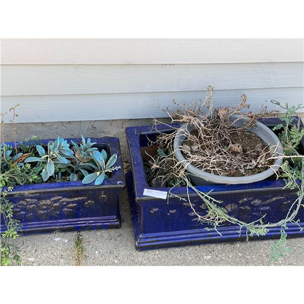 Square Plant Pots Ceramic