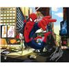 Image 1 : STAN LEE SIGNED SPIDER-MAN 16 X 20 (FRAOZEN POND)