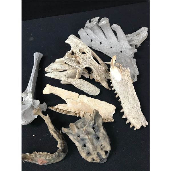 DC LEGENDS SCREEN USED PROPS (BONES)