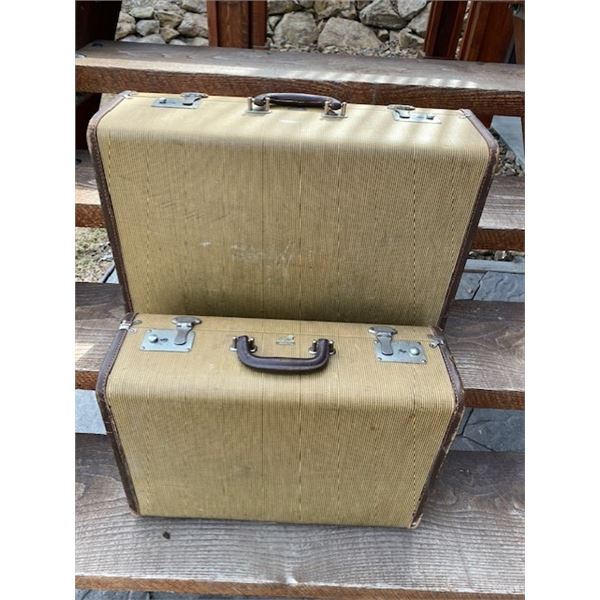 2 PIECE LION BRAND LUGGAGE SET