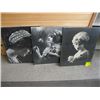 Image 1 : SET OF 3 FRAMED PHOTOGRAPHS