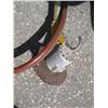 Image 2 : HYDRAULIC LIMB LOPPER