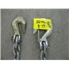 Image 2 : 22' CHAIN W/2 HOOKS