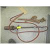 Image 1 : TIGER TORCH & CHAIN CINCH