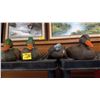 Image 1 : COLLECTABLE DUCK DECOYS
