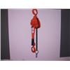 Image 1 : TMG INDUSTRIAL 6600LB TWIN PAWLBREAK CHAIN LEVER HOIST