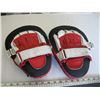 Image 2 : 2 LG & 2 SM HAND PUNCH PADS