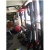 Image 1 : DOUBLE HEAVY DUTY SPEED BAG RACK W/SPEED BAGS