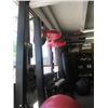 Image 2 : DOUBLE HEAVY DUTY SPEED BAG RACK W/SPEED BAGS