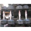 Image 2 : DUMBBELL RACK COMPLETE W/DUMBBELLS, 3 TO 30LBs