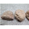 Image 2 : Multiple Porous & Other Stones, Misc Sizes (Origin & Date Unknown)