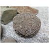 Image 8 : Multiple Porous & Other Stones, Misc Sizes (Origin & Date Unknown)