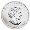 Image 3 : RCM 2005 Coloured Maple Leaf .9999 Fine Silver 1oz. Coin, Stock Photo Used For Listing