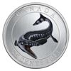 Image 1 : 2013 25c Prehistoric Creatures: Tylosaurus Pembinensis - Glow-in-the-Dark Coloured Coin