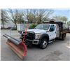 Image 1 : 2013 FORD F-550 XL SUPER DUTY DUMP SALTER, WHITE, VIN 1FDUF5HT3DEB48630