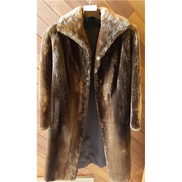 Sheared Beaver Women's Coat