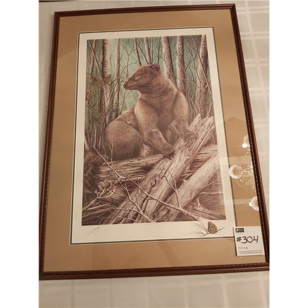 "A Rare Glimpse - Fisher" Print # 3/10 Artist Judi Wild