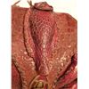 Image 2 : Hand Made Vintage Armadillo Taxidermy Purse - 11W x 9H