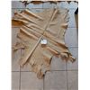 Image 3 : Two Animal Hides - Larger - 47L x 35W  Small - 39L x 36W