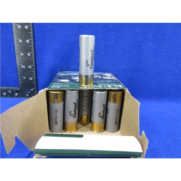 12 Ga 3" BB Shot Kent Fasteel Steel Waterfowl Shotshells
