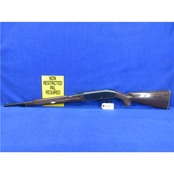 Non-Restricted - Remington Model Nylon 66 in 22 LR