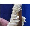 Image 2 : Necklace - Made with Seashells - Comes with Wood Box
