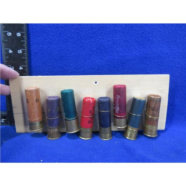 Collector Ammo - 8 - 16 Ga Shotshells on Bullet Board