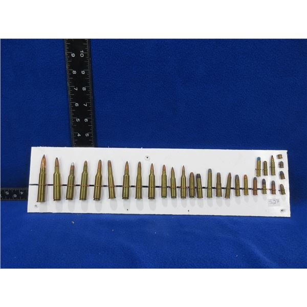 Collector Ammo - 29 Misc. Cartridges on Bullet Board