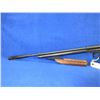 Image 3 : No Pal Required - 177 Cal. Crossman American Air Rifle