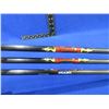 Image 3 : Excalibur Illuminated Diablo 18" Carbon Arrows 3 Pack