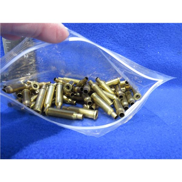 Brass Only - 17 Hornet Hornady Unprimed