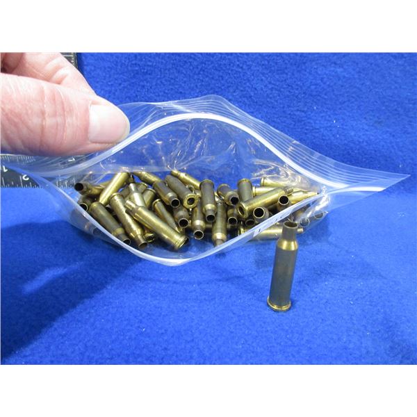 Brass Only - 17 Hornet Hornady Unprimed