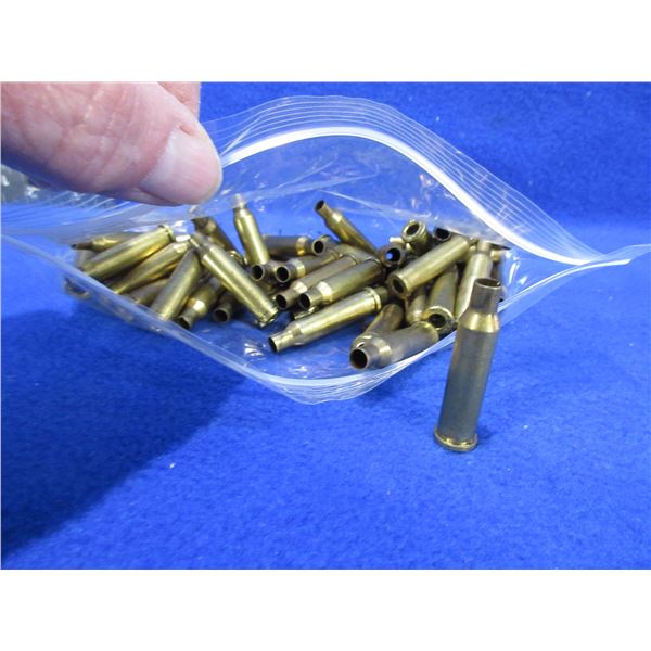 Brass Only - 17 Hornet Hornady Unprimed