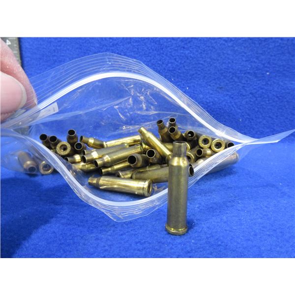 Brass Only - 17 Hornet Hornady Unprimed