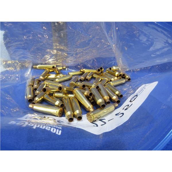Brass Only - 22-250 Rem. Unprimed - Bag of Approx. 50