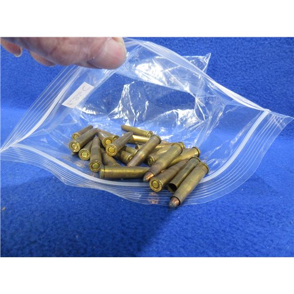 22 Hornet Reloads - 22 Cartridges + 1 Brass