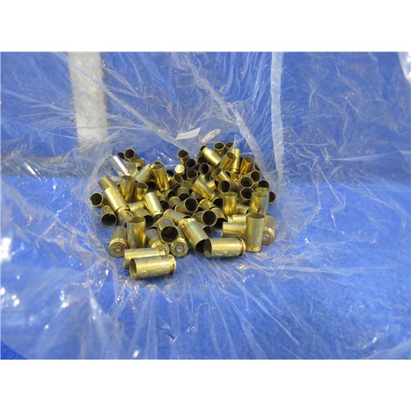 Brass Only - 40 S&W Unprimed - Bag of Approx. 114