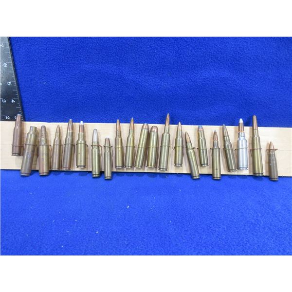 Collector Ammo - 21 Misc. Cartridges on Bullet Board