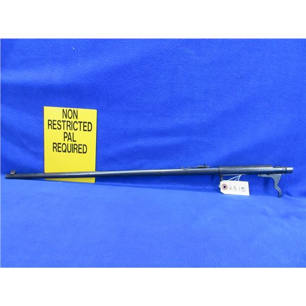 Non-Restricted - North American Arms # 20 in 22 LR