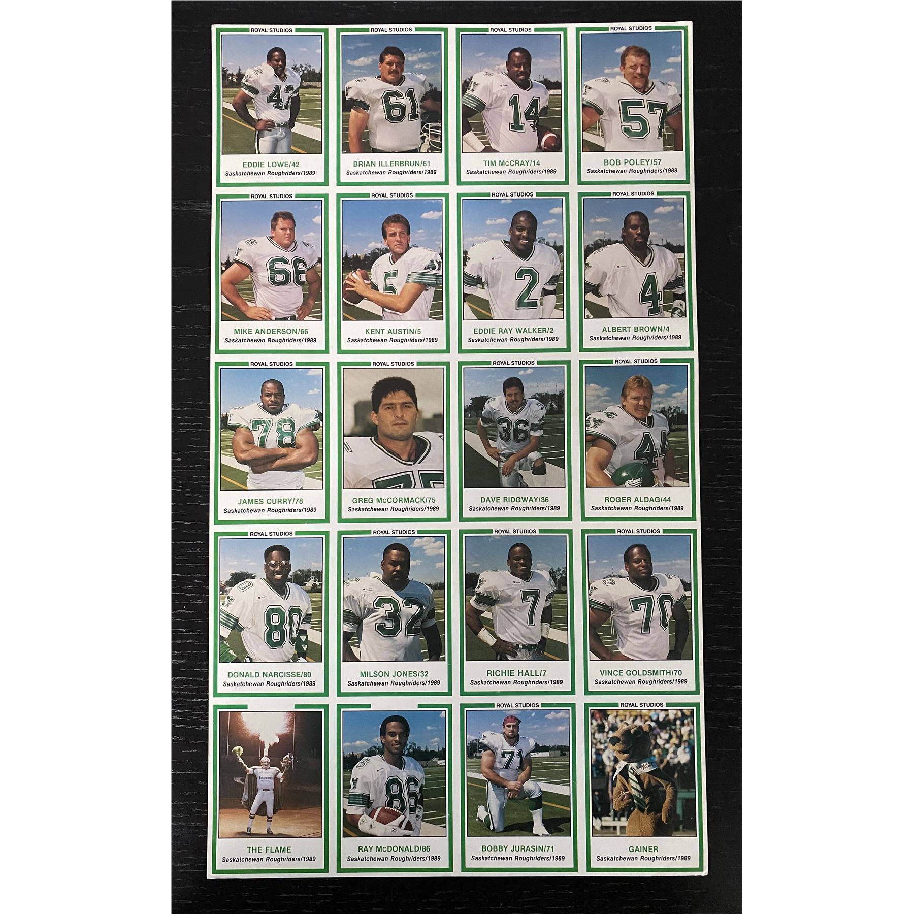 Old Saskatchewan Rough Rider 1989 Saskatchewan Roughriders team set - uncut sheets