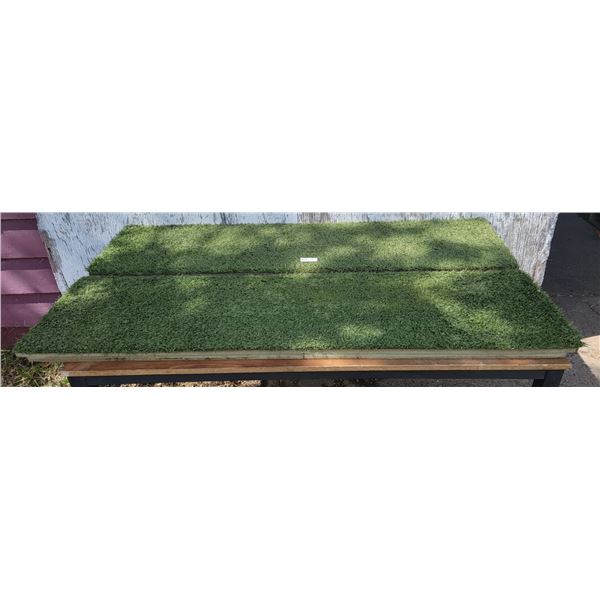 Two Turf Hound Driving Range Mats