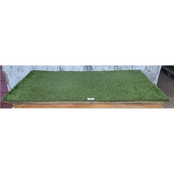 One Large Turf Hound Mat