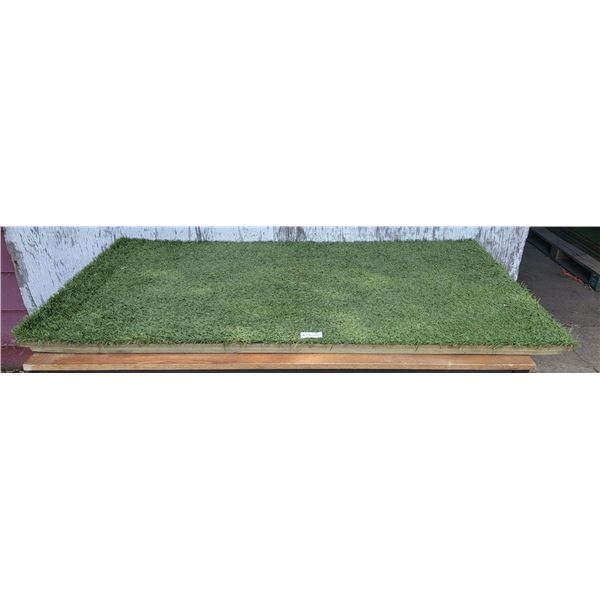 One Large Turf Hound Mat