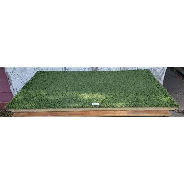 One Large Turf Hound Mat