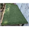Image 2 : One Large Turf Hound Mat