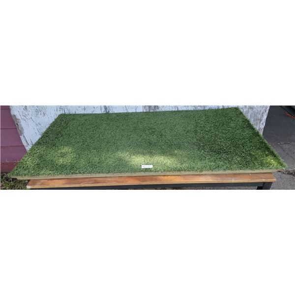 One Large Turf Hound Mat